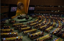 Liên hợp quốc nối lại đàm phán về hiệp ước bảo vệ các vùng biển khơi