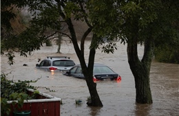 Mưa lớn gây lũ lụt tại New Zealand, 200 hộ gia đình phải sơ tán