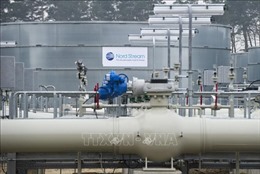 Bulgaria muốn đàm phán với Gazprom để nối lại vận chuyển khí đốt