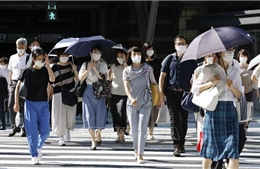 Nhật Bản cân nhắc dỡ bỏ yêu cầu xét nghiệm COVID-19 cho khách nhập cảnh