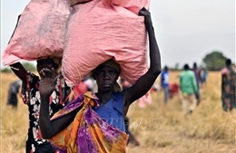 WFP cảnh báo về tình trạng mất an ninh lương thực trên toàn cầu