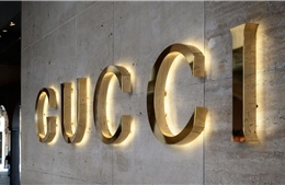 Lý do Gucci hủy sự kiện thời trang tại Hàn Quốc 