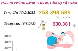 Hơn 253,39 triệu liều vaccine phòng COVID-19 đã được tiêm tại Việt Nam