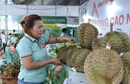 Đắk Lắk thu hút đầu tư phát triển cây sầu riêng tại huyện trọng điểm Krông Pắc