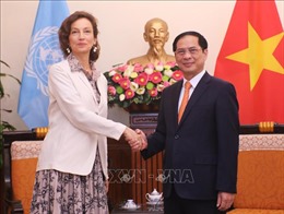 Bộ trưởng Bộ Ngoại giao Bùi Thanh Sơn tiếp Tổng Giám đốc UNESCO 