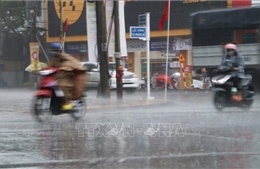 An Giang: Cảnh báo ngập lụt cấp độ 2 ở khu vực thành phố Long Xuyên