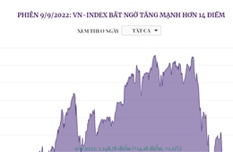 Phiên 9/9/2022: VN-Index bất ngờ tăng mạnh hơn 14 điểm