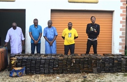 Nigeria thu giữ khối lượng cocain kỷ lục, trị giá 278,5 triệu USD