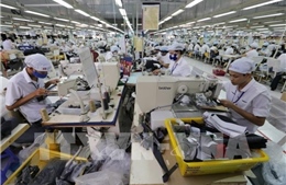 Việt Nam đứng thứ 63/113 nền kinh tế toàn cầu về hệ thống khởi nghiệp kỹ thuật số