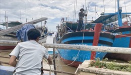 Bí thư Tỉnh ủy Phú Yên kiểm tra công tác ứng phó bão Noru tại vùng nuôi tôm hùm lớn nhất nước