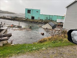 Canada: Yêu cầu bồi thường bảo hiểm do bão Fiona có thể hơn 500 triệu USD