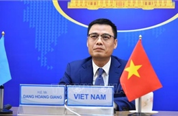 Việt Nam nỗ lực thực hiện Chiến lược Chống khủng bố toàn cầu của Liên hợp quốc