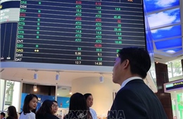 Khối ngoại giảm mạnh mua ròng trên thị trường chứng khoán Việt Nam