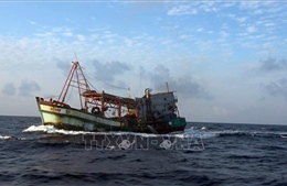 Kiên Giang xử lý tàu cá vi phạm vùng biển nước ngoài