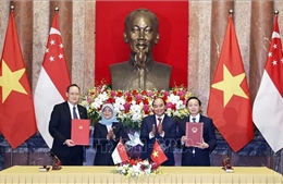 Chủ tịch nước và Tổng thống Singapore chứng kiến lễ ký các văn kiện hợp tác 