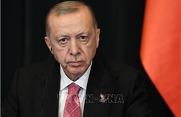 Tổng thống Thổ Nhĩ Kỳ công bố ý định sớm tổ chức tổng tuyển cử