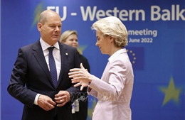 Đức, EU hối thúc sớm triển khai tái thiết Ukraine