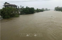 Từ 26 đến 27/10, các sông từ Quảng Nam đến Bình Định sẽ xuất hiện một đợt lũ