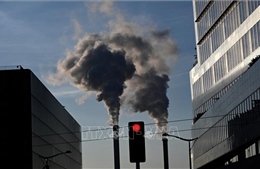 IEA dự báo lượng khí thải toàn cầu đạt đỉnh vào năm 2025