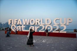 WORLD CUP 2022: Điểm mới từ các đội bóng châu Phi