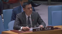 Việt Nam tái khẳng định lập trường nhất quán về vấn đề Palestine 