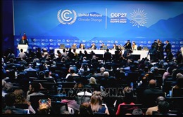 COP27: Colombia cam kết đóng góp hàng tỷ USD bảo vệ rừng Amazon