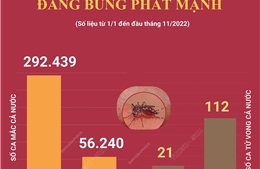 Dịch sốt xuất huyết bùng phát mạnh, cả nước ghi nhận hơn 292 nghìn ca bệnh