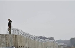 Ukraine bắt đầu xây tường dọc biên giới với Belarus, sẽ dựng tường rào với Nga