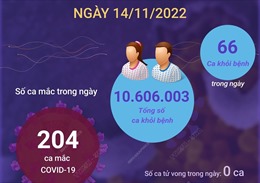 Ngày 14/11: Có 204 ca mắc COVID-19, 66 F0 khỏi bệnh