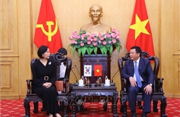 Đẩy mạnh hợp tác bồi dưỡng cán bộ lãnh đạo, quản lý Việt Nam - Hàn Quốc