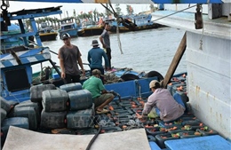 Bà Rịa-Vũng Tàu: Đề xuất hỗ trợ ngư dân bị ảnh hưởng bởi giá dầu