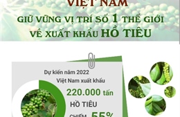 Việt Nam giữ vững vị trí số 1 về xuất khẩu hồ tiêu, chiếm 55% sản lượng thế giới
