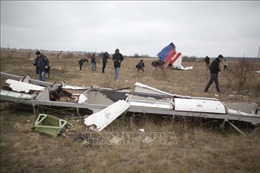 Nga bác bỏ phán quyết của tòa án Hà Lan liên quan vụ rơi máy bay MH17