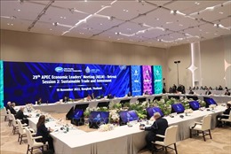 Các nhà lãnh đạo kinh tế APEC ra Tuyên bố chung