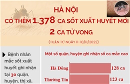 Hà Nội có thêm 1.378 ca sốt xuất huyết mới, 2 ca tử vong