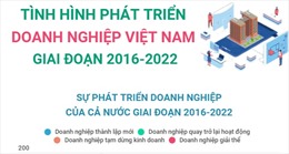 Tình hình phát triển doanh nghiệp Việt Nam giai đoạn 2016 - 2022