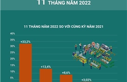 Tổng quan kinh tế Việt Nam 11 tháng năm 2022