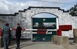 IS thừa nhận tấn công Đại sứ quán Pakistan tại Afghanistan