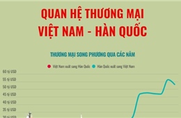 Quan hệ thương mại Việt Nam - Hàn Quốc
