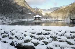 Hàn Quốc nâng mức cảnh báo thiên tai do tuyết rơi dày trên diện rộng
