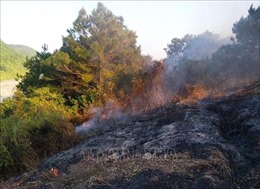 Quảng Ninh: Dập tắt vụ cháy rừng ở đảo Vĩnh Thực, Móng Cái