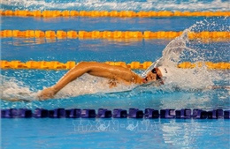 Đoàn Quân đội đoạt 15 HCV, xếp vị trí nhất môn bơi tại Đại hội Thể thao toàn quốc 2022