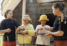 Hợp tác bảo tồn, phát huy văn hóa cồng chiêng tại Đắk Lắk