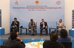 Diễn đàn Việt Nam: Tăng cường quan hệ đối tác chiến lược toàn diện Việt - Ấn Độ