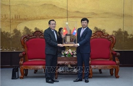 Đà Nẵng và tỉnh Salavane của Lào đẩy mạnh hợp tác