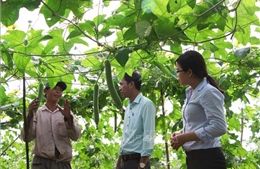 Chủ tịch Trung ương Hội Nông dân Việt Nam: Phát triển hệ sinh thái nông nghiệp