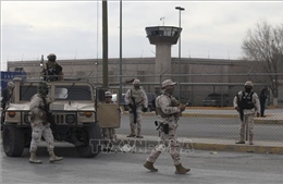 Tấn công vũ trang vào nhà tù ở Mexico khiến 19 người thiệt mạng