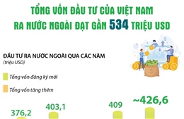 Năm 2022: Tổng vốn đầu tư của Việt Nam ra nước ngoài đạt gần 534 triệu USD