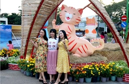 Bình Thuận mở cửa đường hoa Xuân Quý Mão 2023