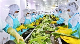 Triển vọng xuất khẩu Việt Nam năm 2023 - Bài 1: Tín hiệu tích cực